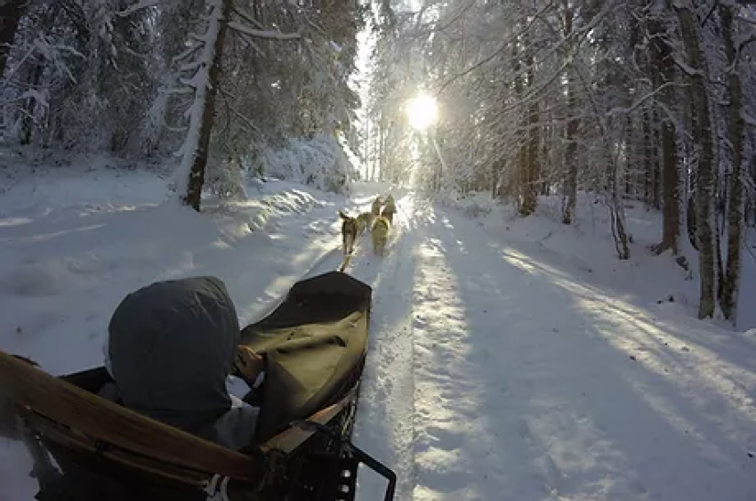 La roche perçée dog sledding (Mont d’Or)